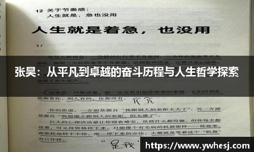 yy易游mile官网入口